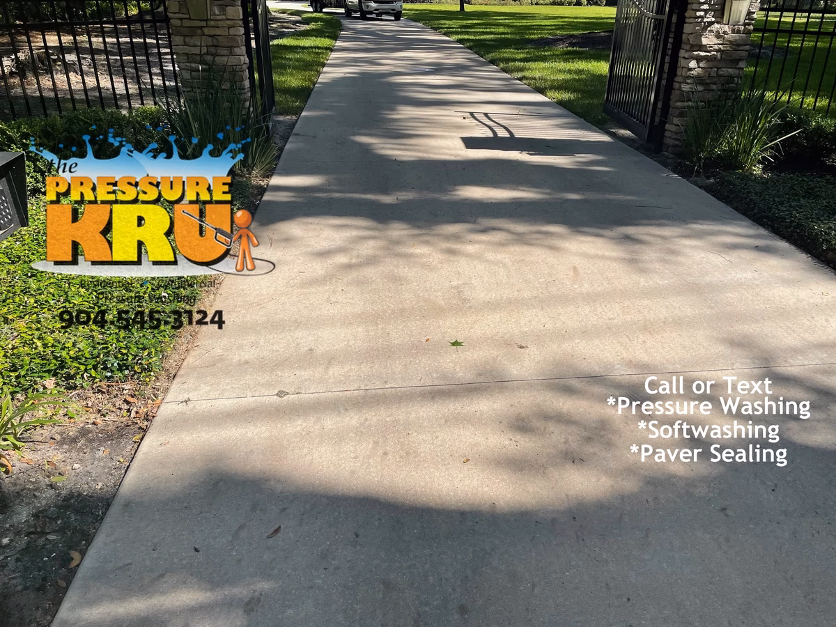 Bright concrete driveway under years of mold growth in Saint Johns, FL. Before cleaning.