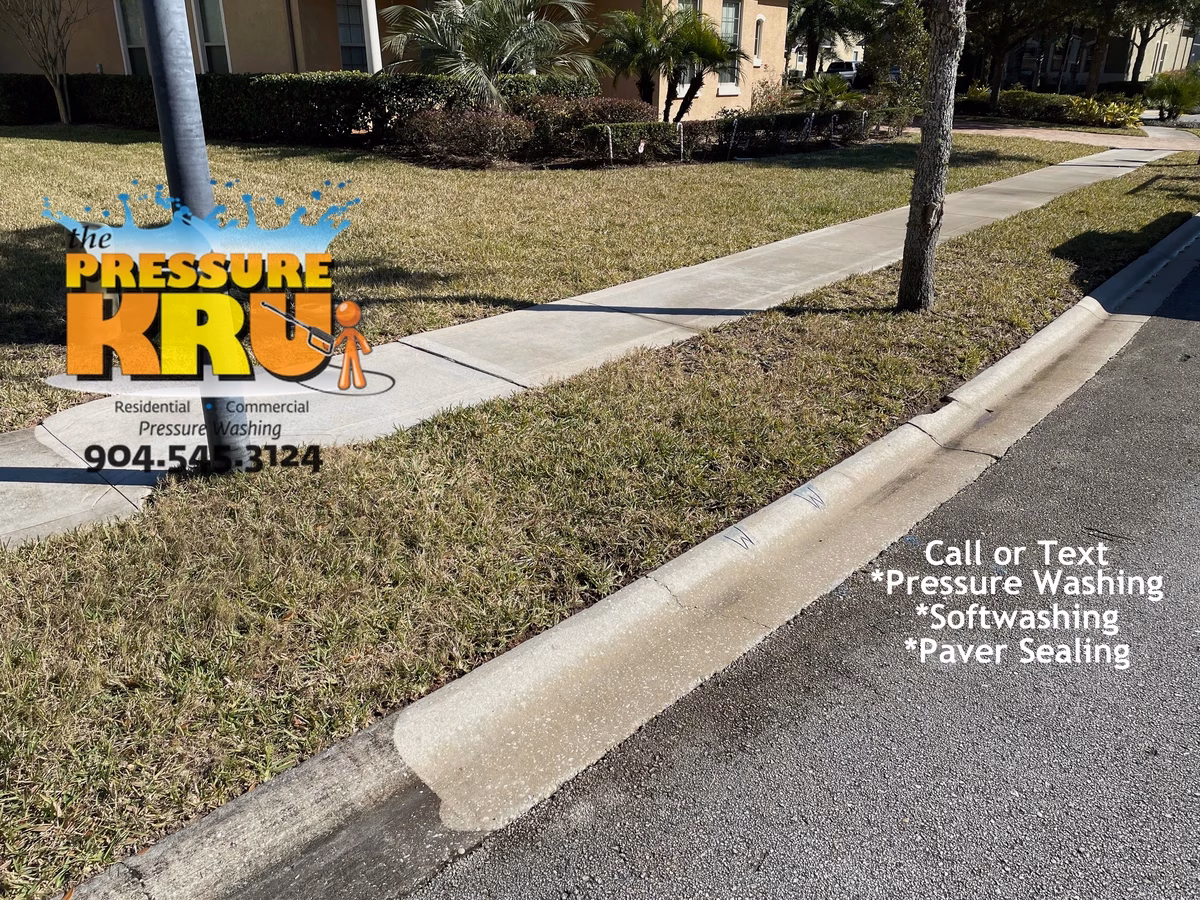 Concrete driveway and curbing after restoration in Saint Johns, FL. Peeled off a layer of new like no other.