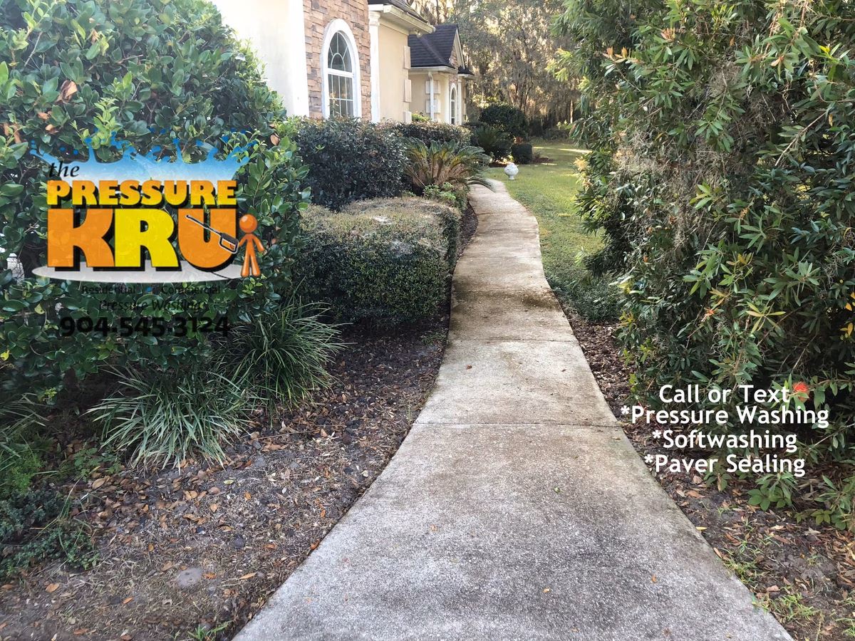 Sidewalk and driveway cleaning Fruit Cove, FL. showing moldy concrete before washing.
