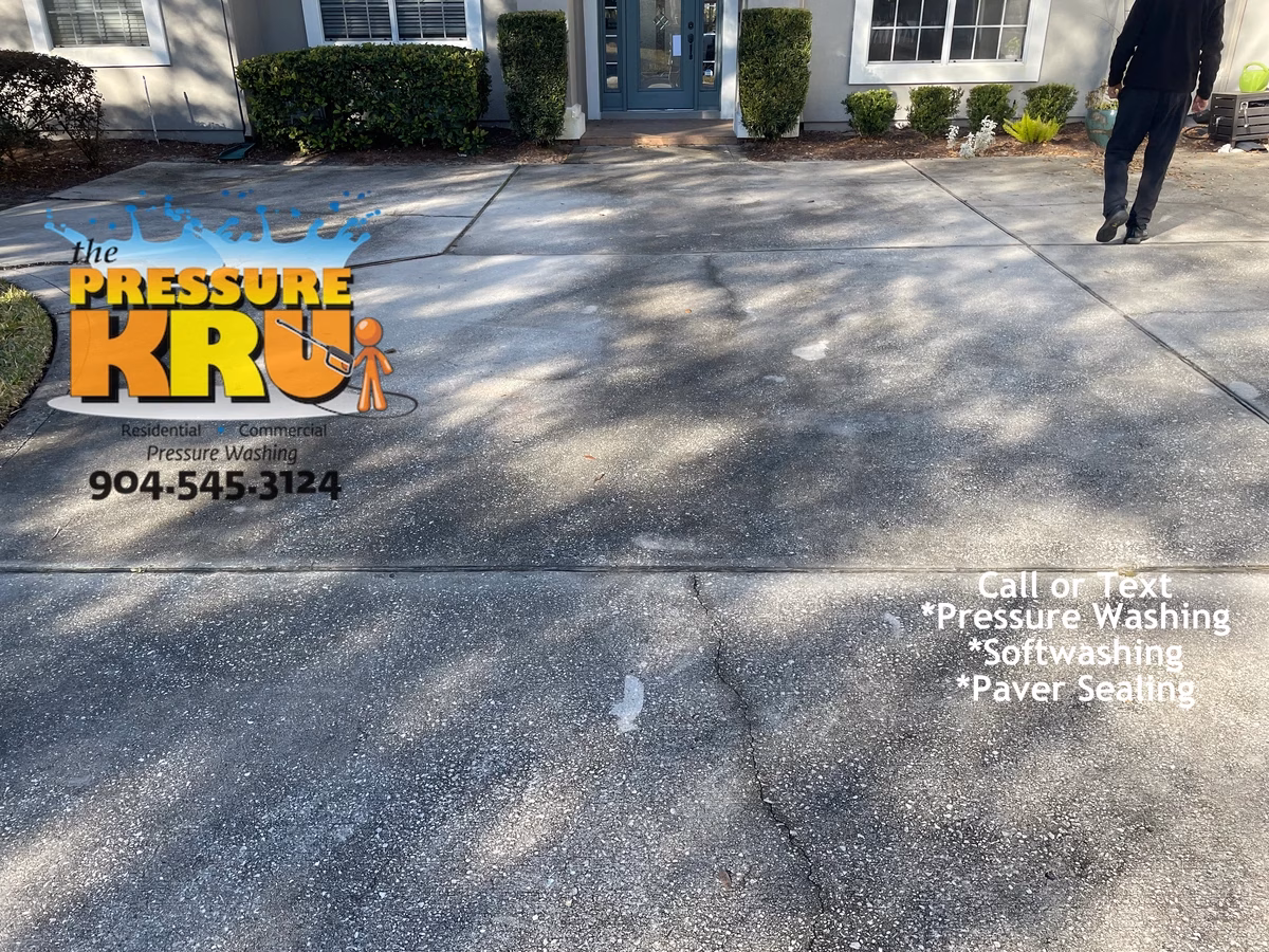 Before professional driveway cleaning in Jacksonville, Florida removing years of black mold.
