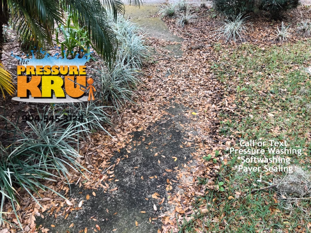 Driveway surface cleaned before pressure washing and soft washing treatment in St. Johns, FL