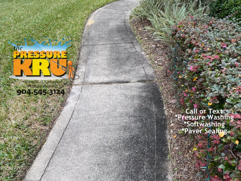 Residential concrete sidewalk and driveway cleaned in St. Augustine, FL. Before image showing years of organic growth buildup.