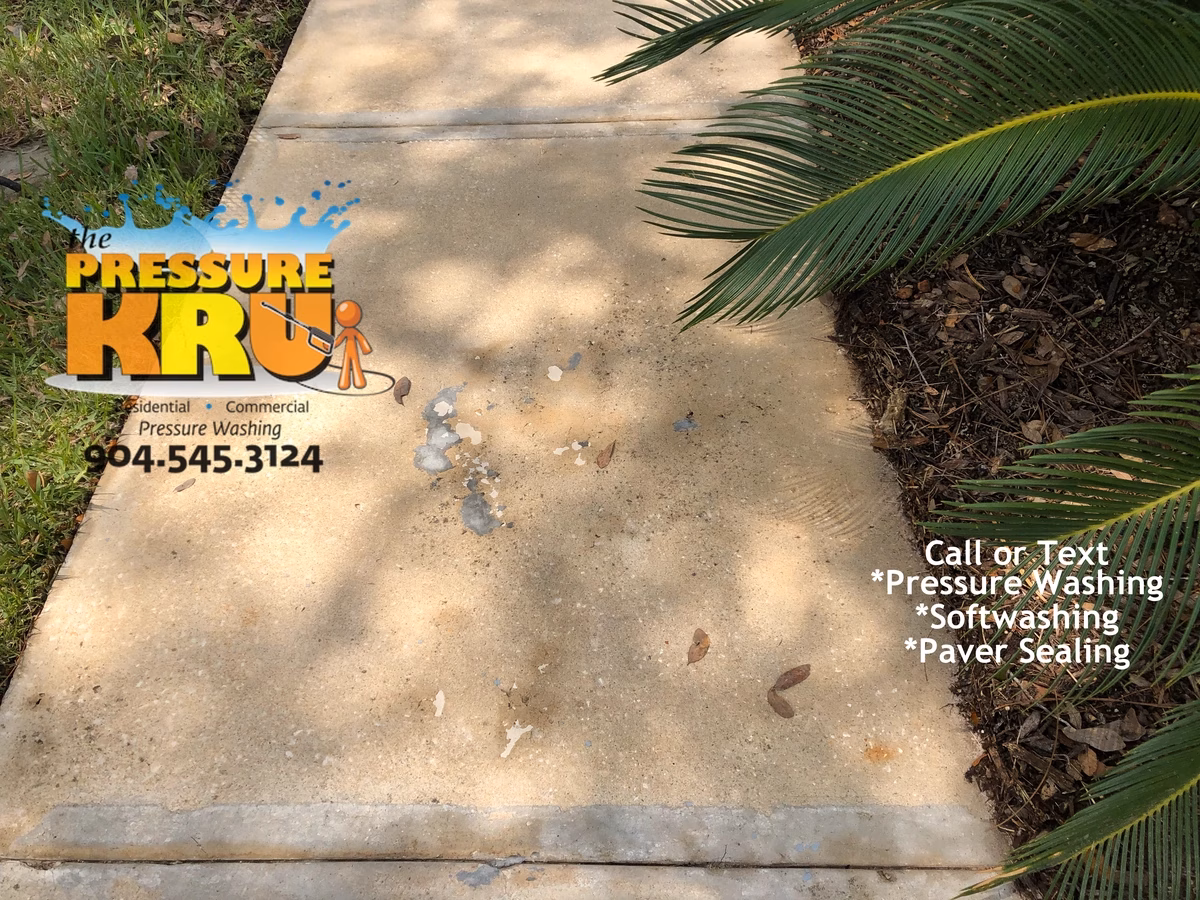Driveway pressure washing in St. Augustine, FL after removing years of black algae.