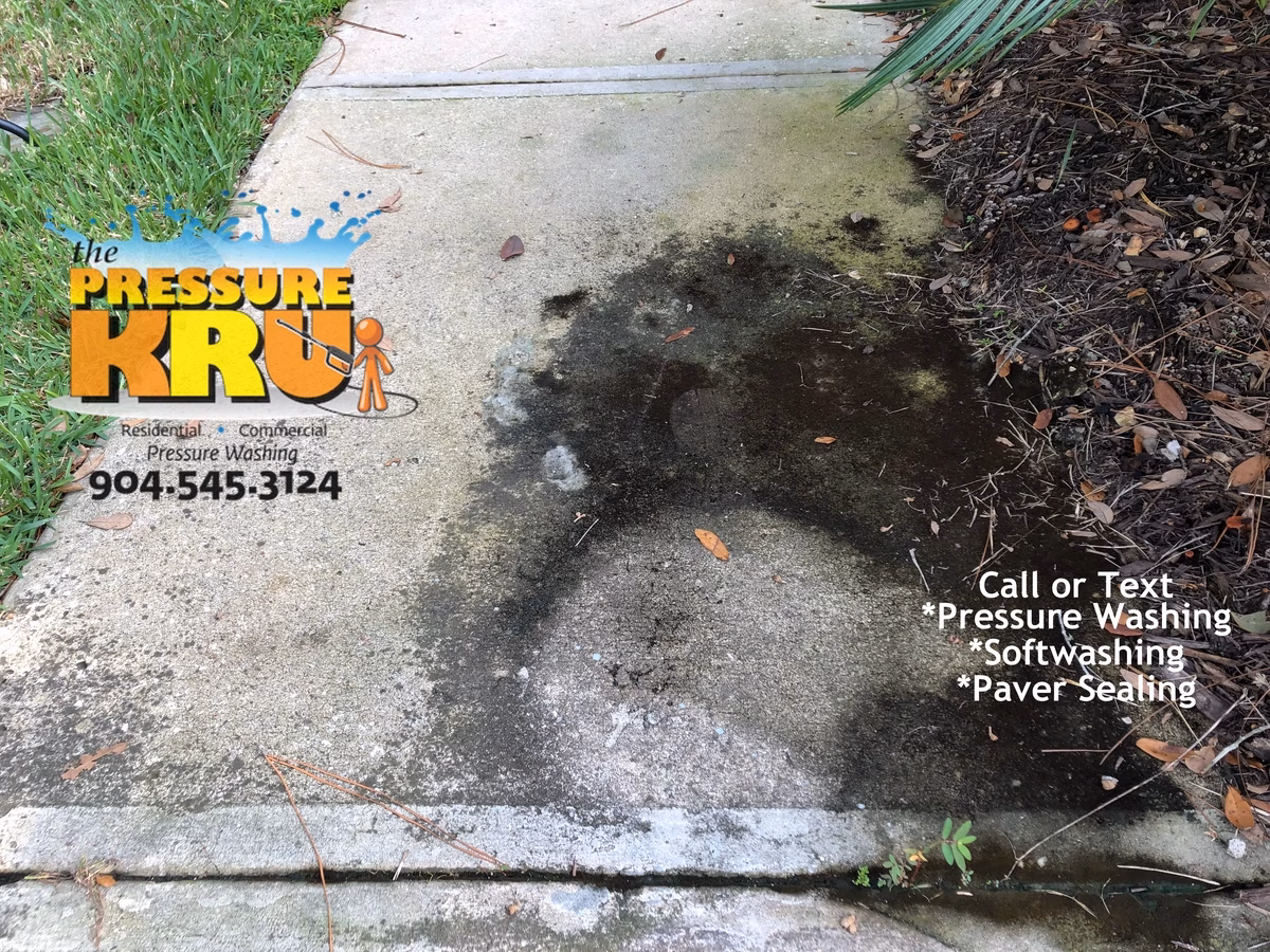 Driveway pressure washing in St. Augustine, FL before removing years of black algae.