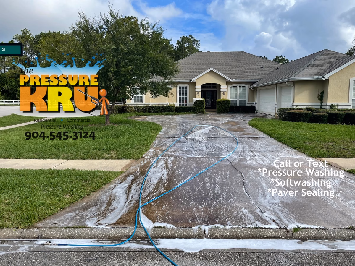 Concrete driveway cleaning after months of algae accumulation in St. Johns, Fl. Before cleaning image.