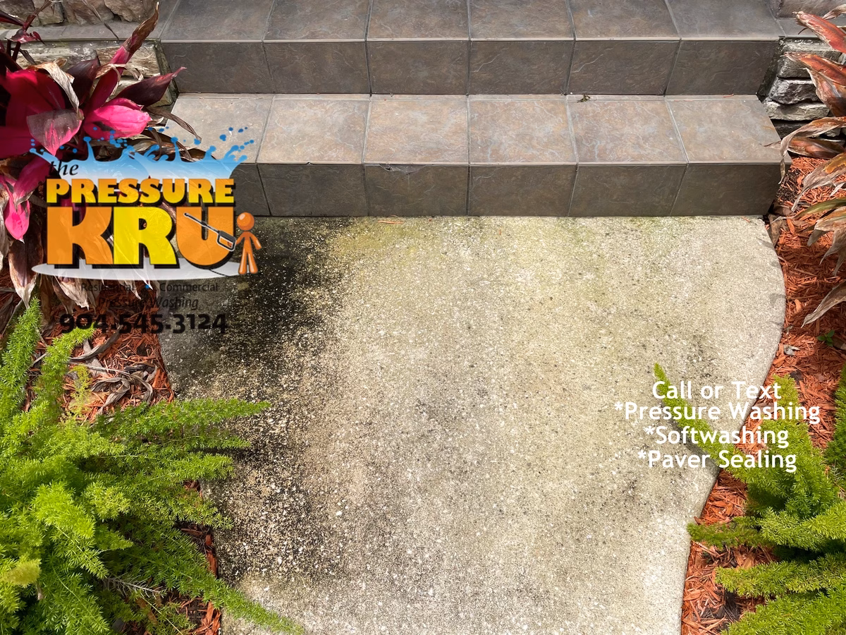 Concrete driveway and sidewalk before cleaning in Saint Johns, FL.