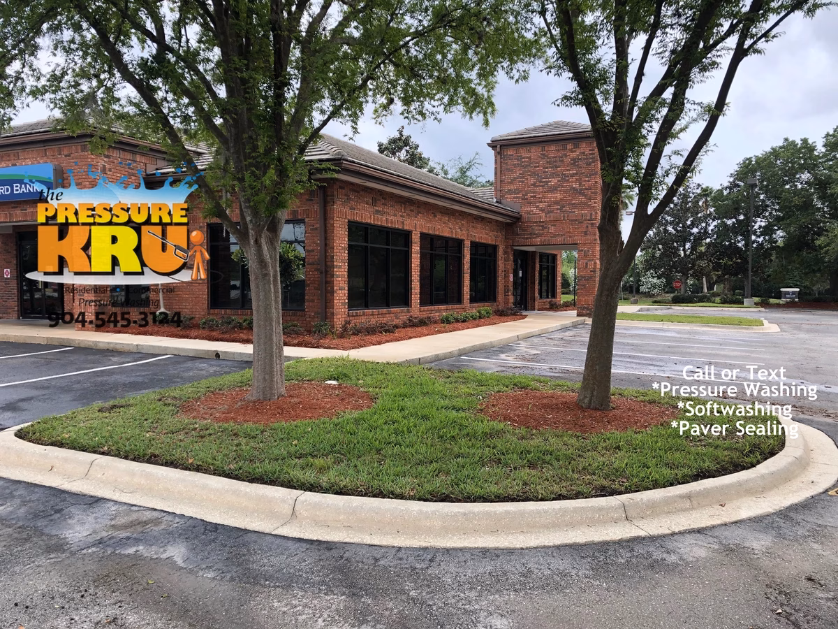 Curb mold removal for business in St. Johns, after