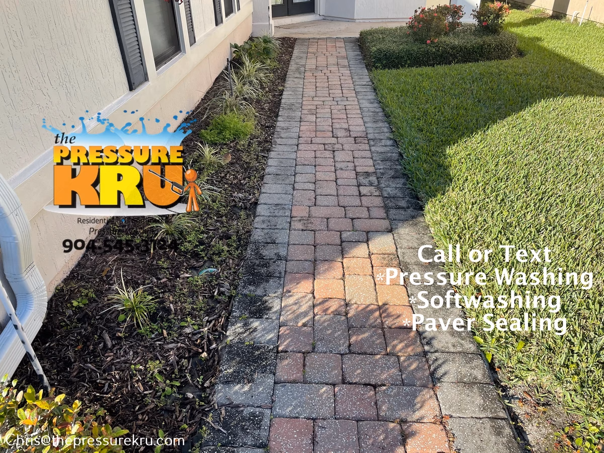 Paver driveway moss removal before in Ponte Vedra, FL.
