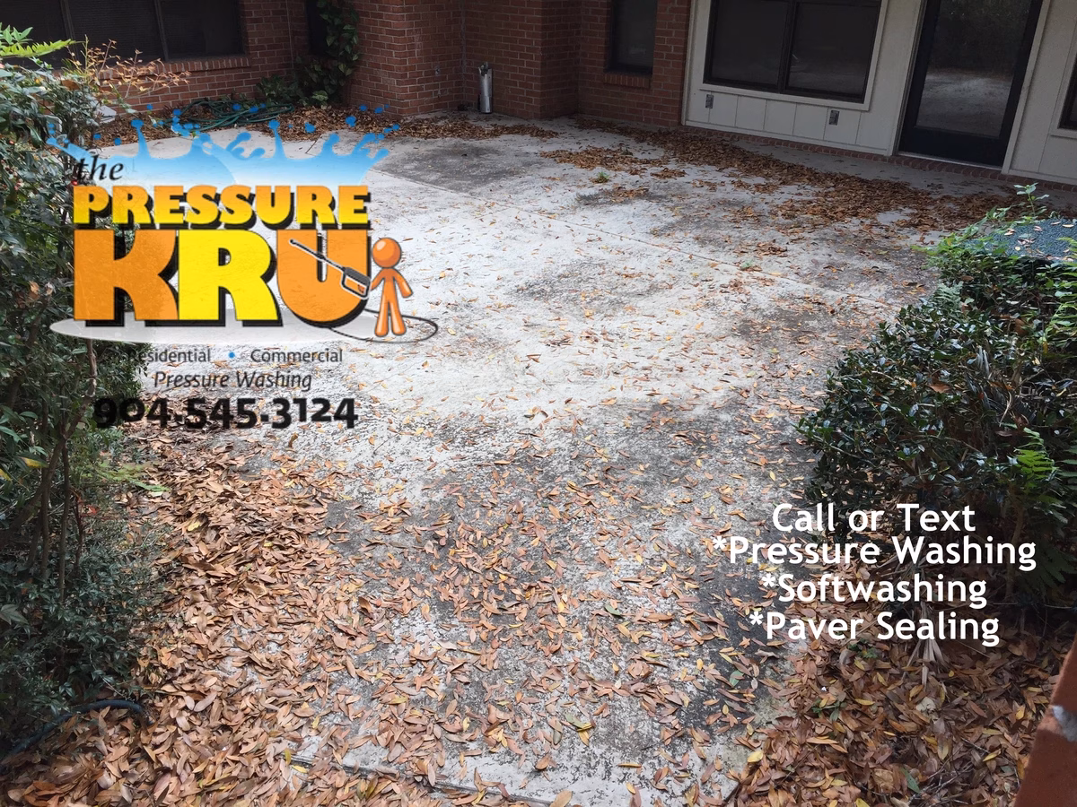 Painted rear concrete patio gentle soft washing in Greenleaf Village Before