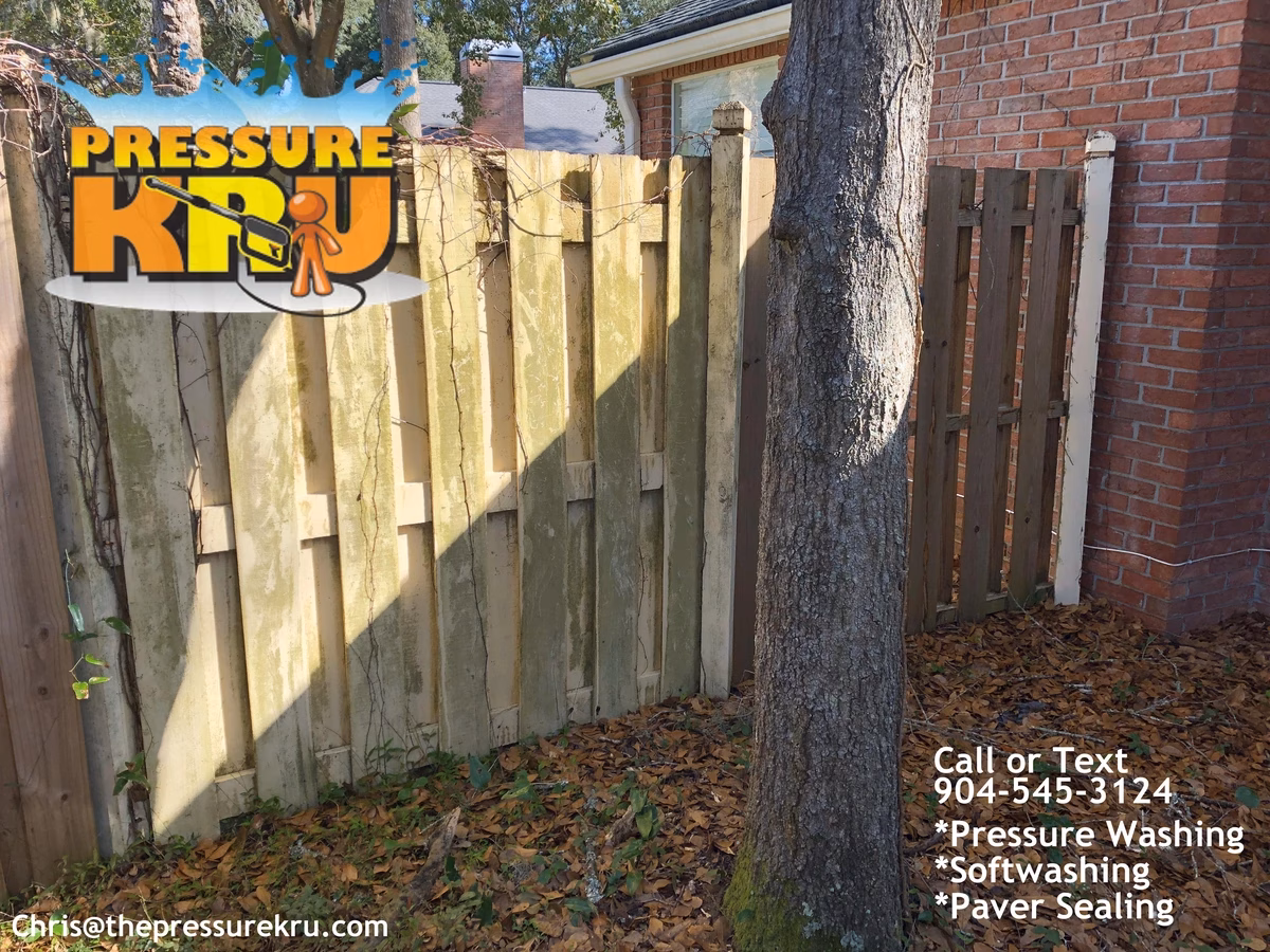Wood fence cleaning in Bartram Park before removing heavy algae