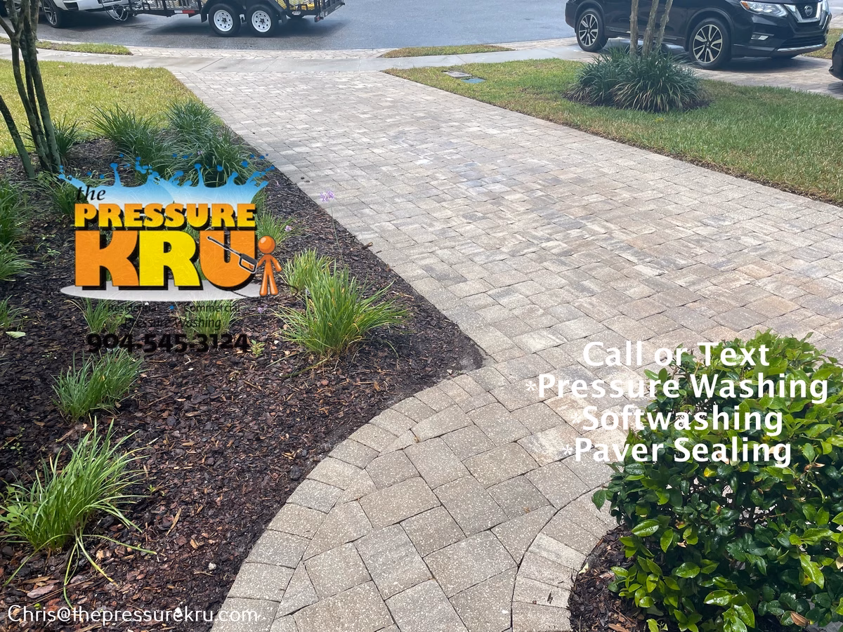 Black mold, dirt, and weeds on paver driveway after professional pressure washing in Dolphin Cove.