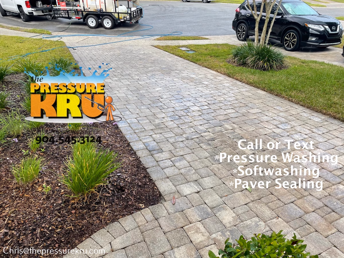 Black mold, dirt, and weeds on paver driveway before professional pressure washing in Dolphin Cove.