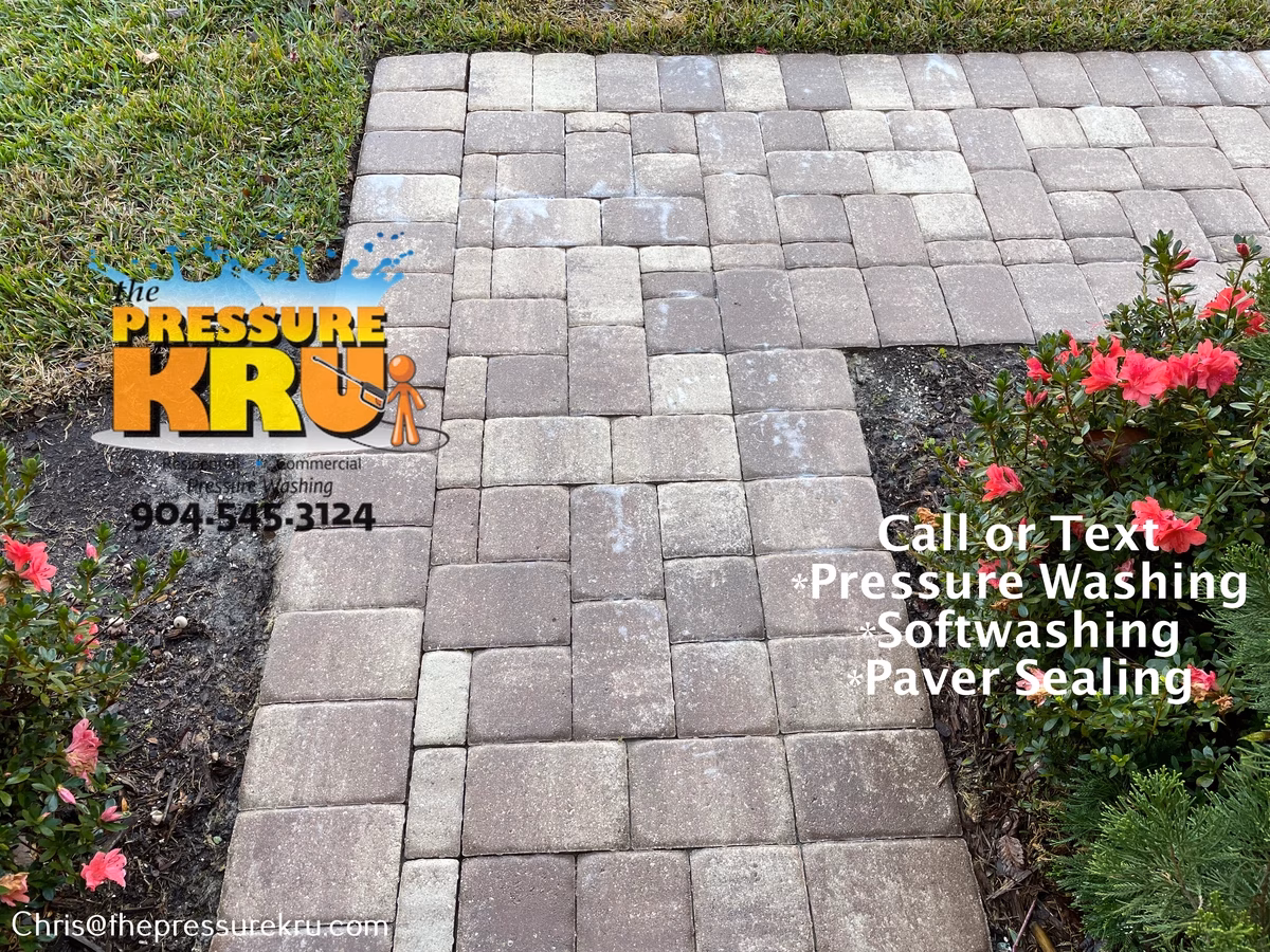 Dirty paver driveway covered in moss, weeds, and algae after professional cleaning in The Plantation.