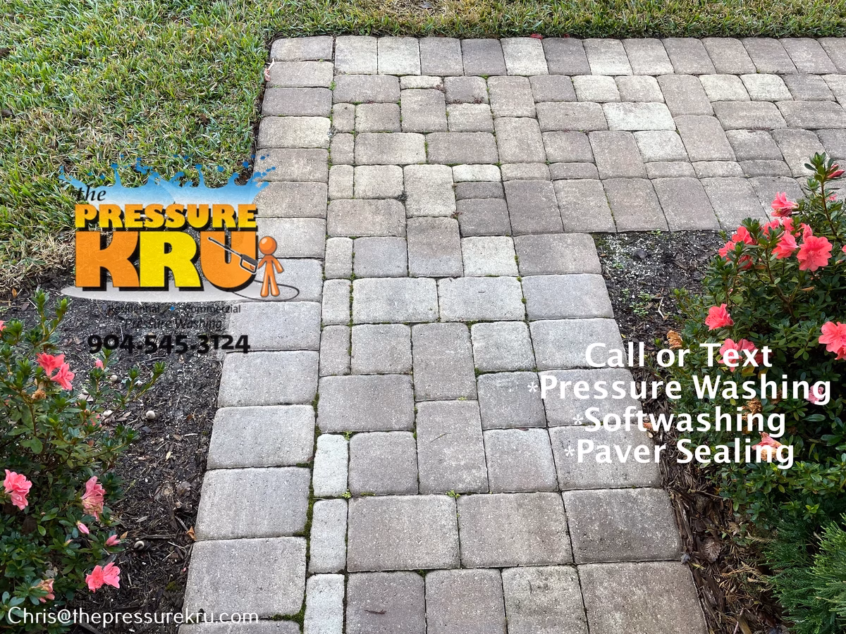 Dirty paver driveway covered in moss, weeds, and algae before professional cleaning in The Plantation.