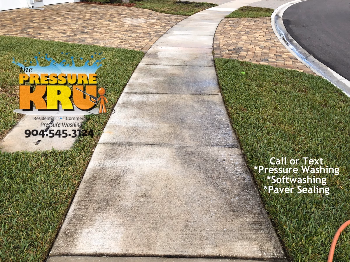 Driveway pressure washing in St. Johns, FL before removing years of black algae.
