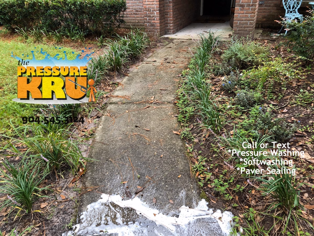 Concrete driveway cleaning in Jacksonville, FL. before professional cleaning to remove mold, mildew, and moss