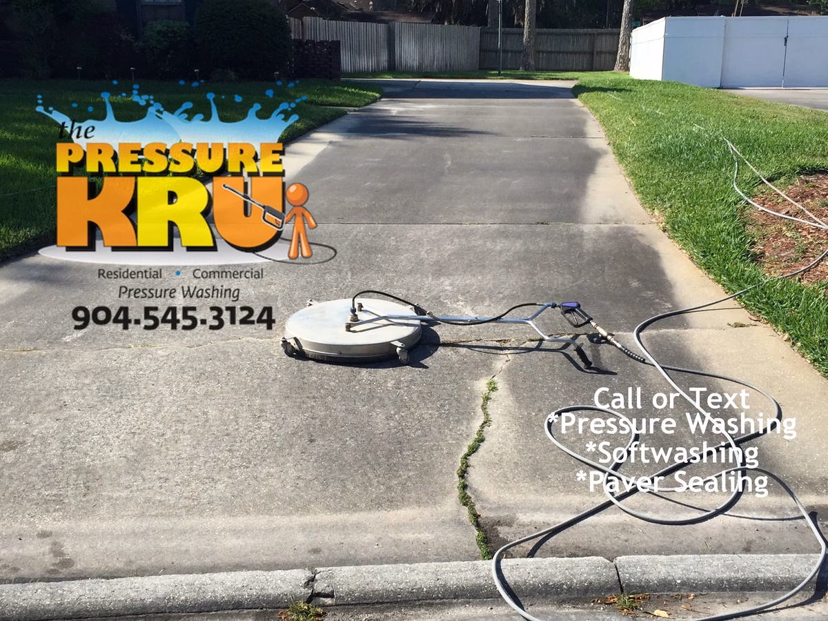 Driveway cleaning service in St. Augustine, FL before removing black mold.