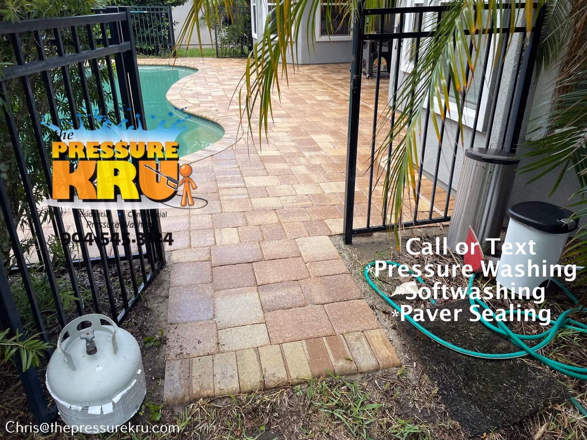 Pool deck pressure washing in Celestina after