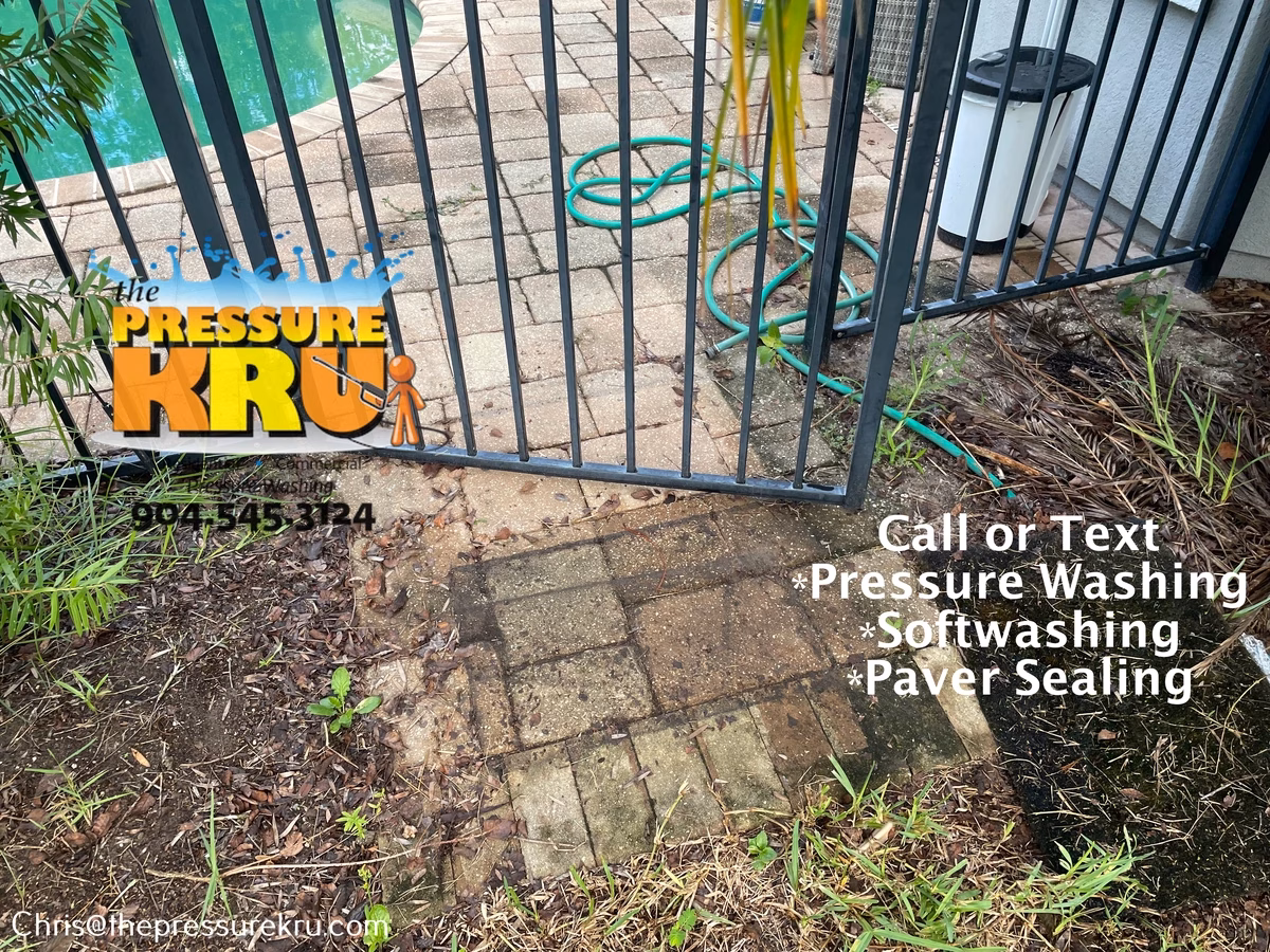 Pool deck pressure washing in Celestina before
