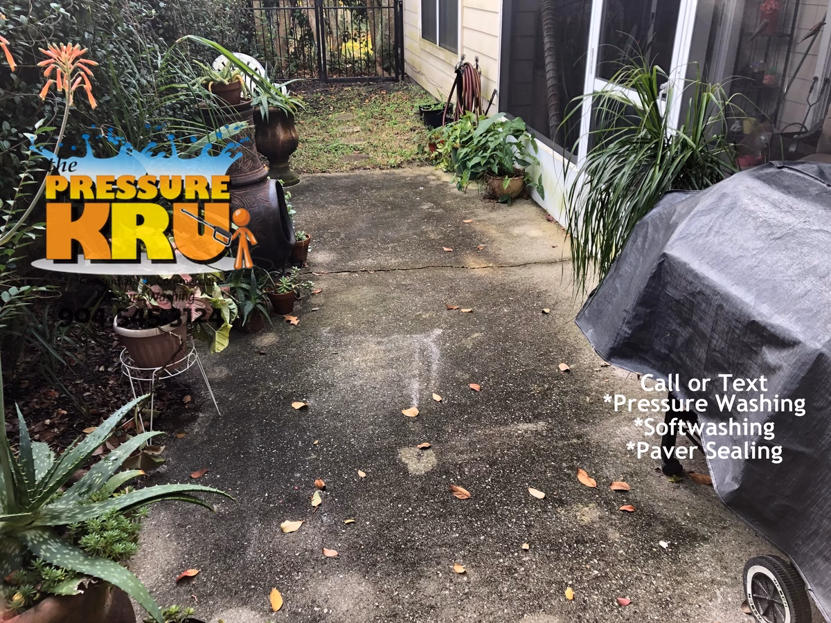 Rear patio cleaning in St Johns FL before post-treatment softwash.