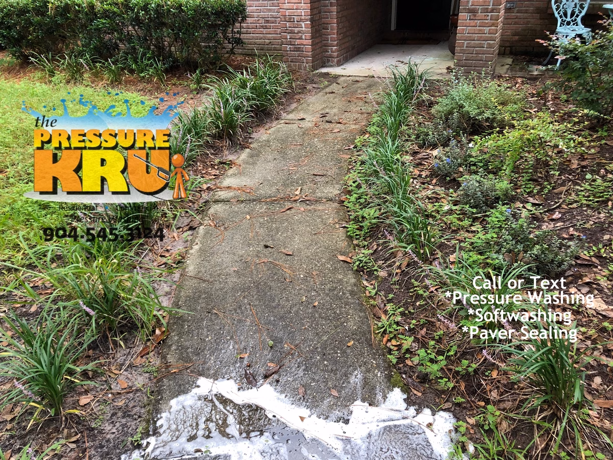 Concrete sidewalk cleaning in St Johns FL before. Again this would be impossible to adequately clean without aid of chemicals.
