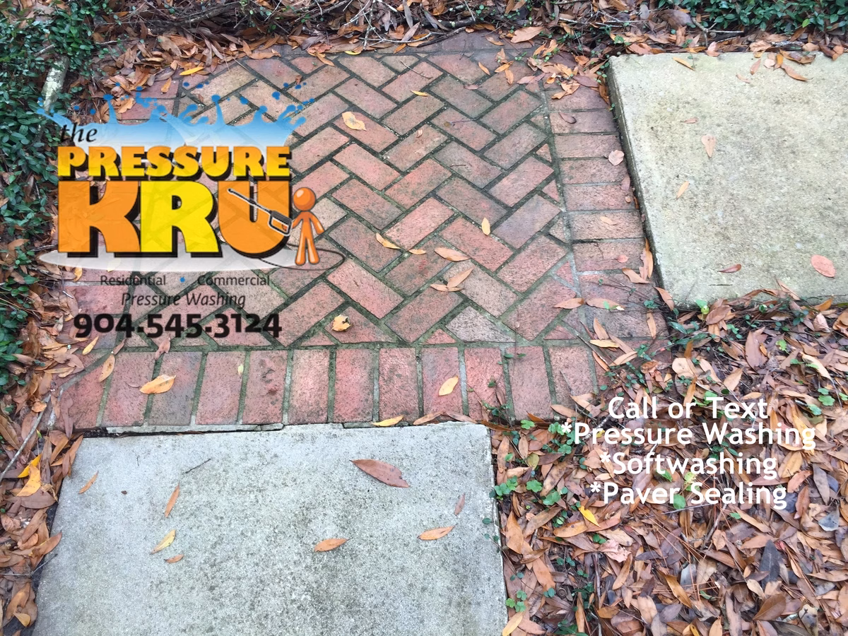 Concrete sidewalk cleaning in St Augustine FL before. Impossible results without chemicals.