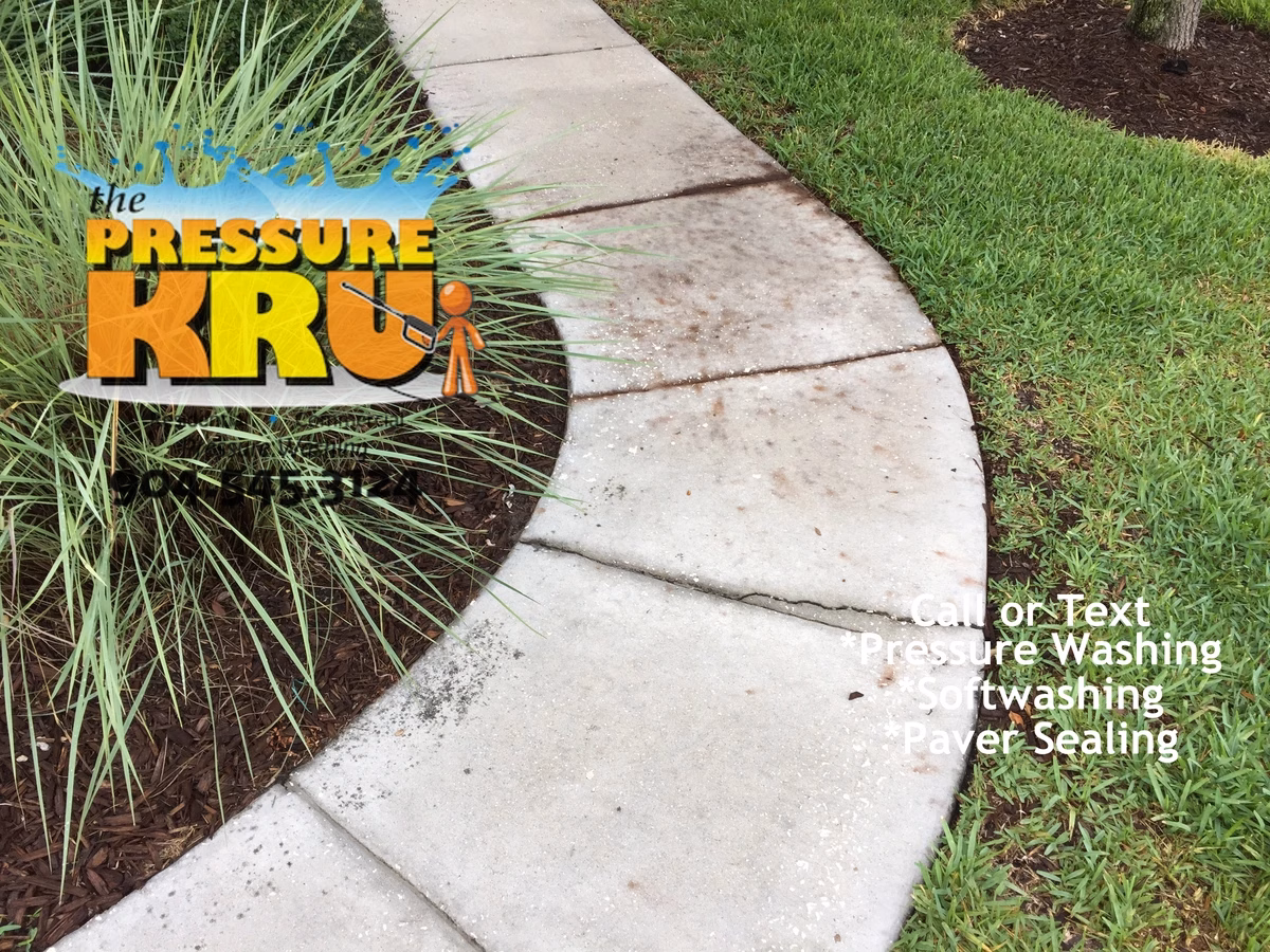 Concrete sidewalk cleaning in St Augustine FL before. This sidewalk could have been cleaned with chemical alone.