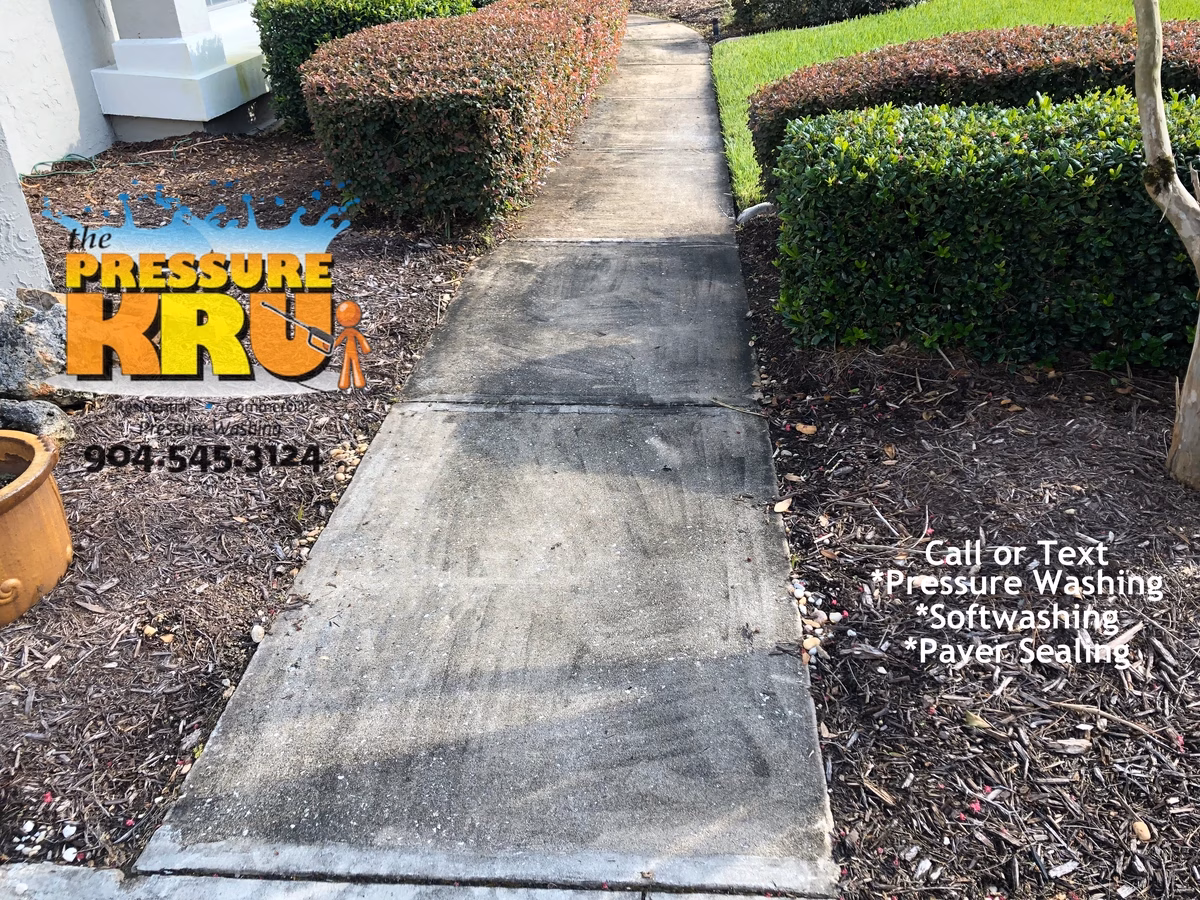 Concrete sidewalk pressure washing in St Johns FL before cleaning. This sidewalk had poor drainage and home owner attempted to clean with high pressure only and no chemical.