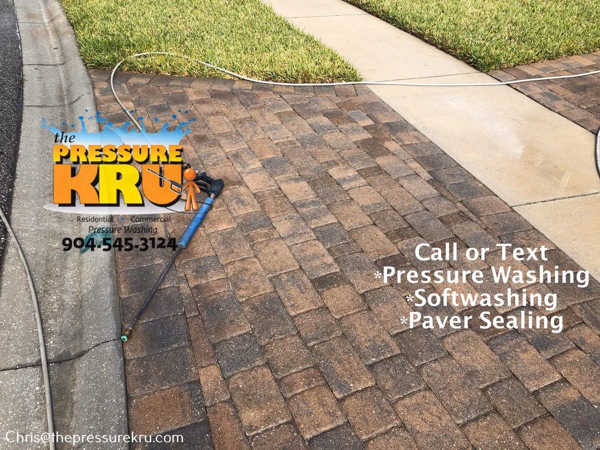 Paver driveway moss removal after soft washing in Celestina.