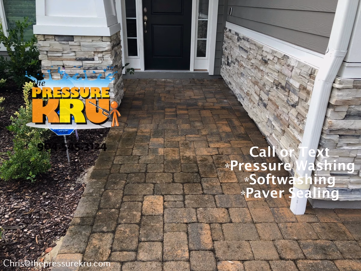 Black mold and dirt on paver driveway before pressure washing in Oxford Estates.