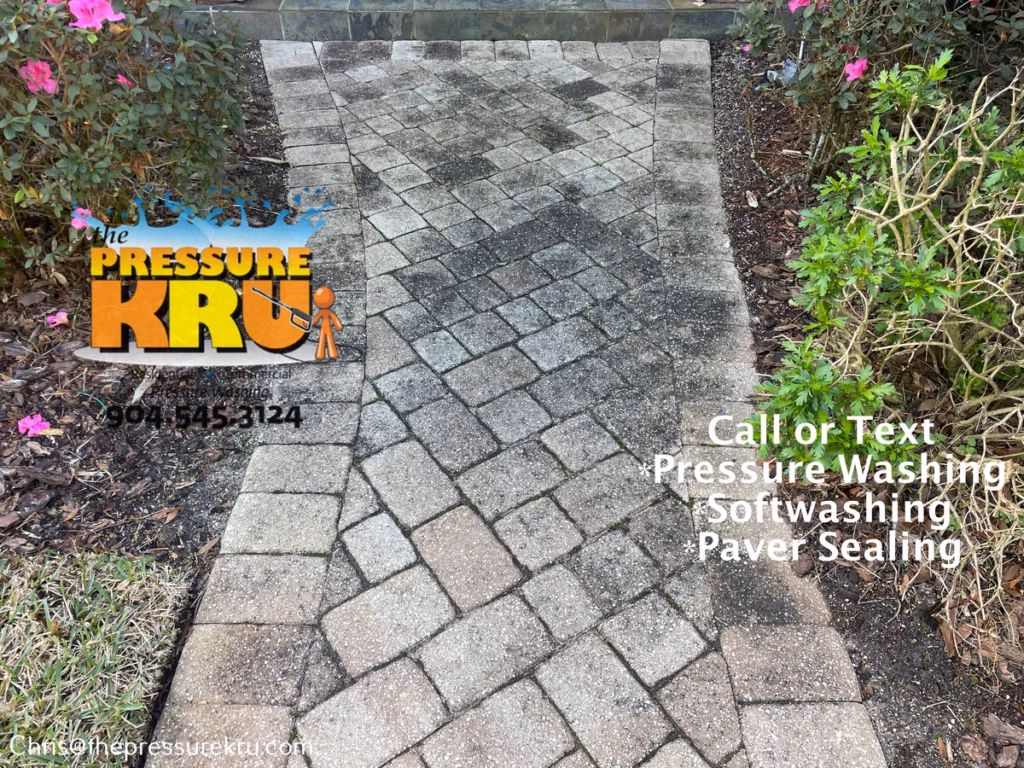 Dirty paver driveway covered in algae before professional cleaning in Durbin Crossing.