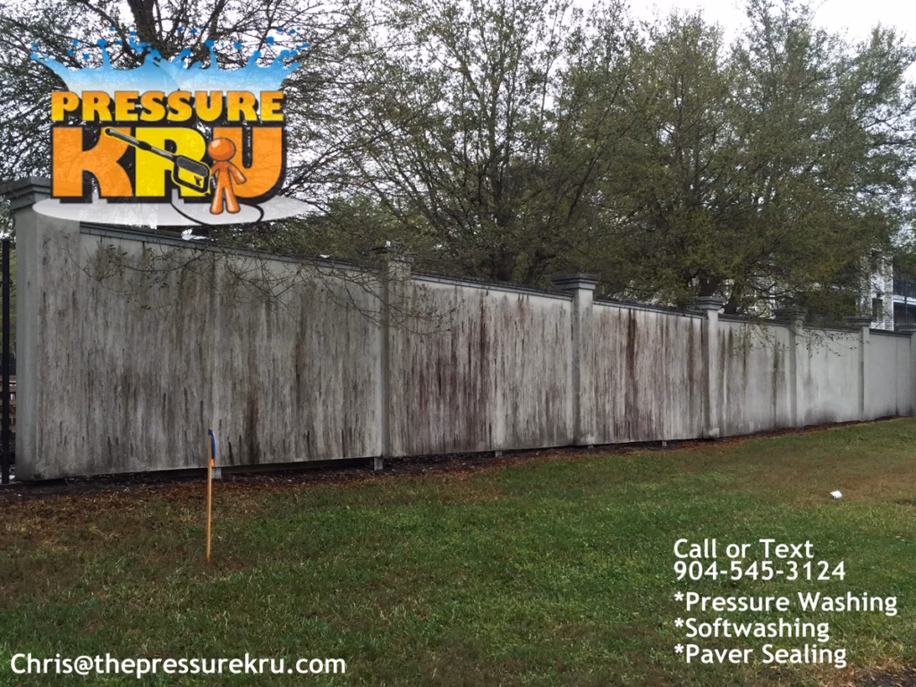Professional fence cleaning in Mandarin before low-pressure softwashing