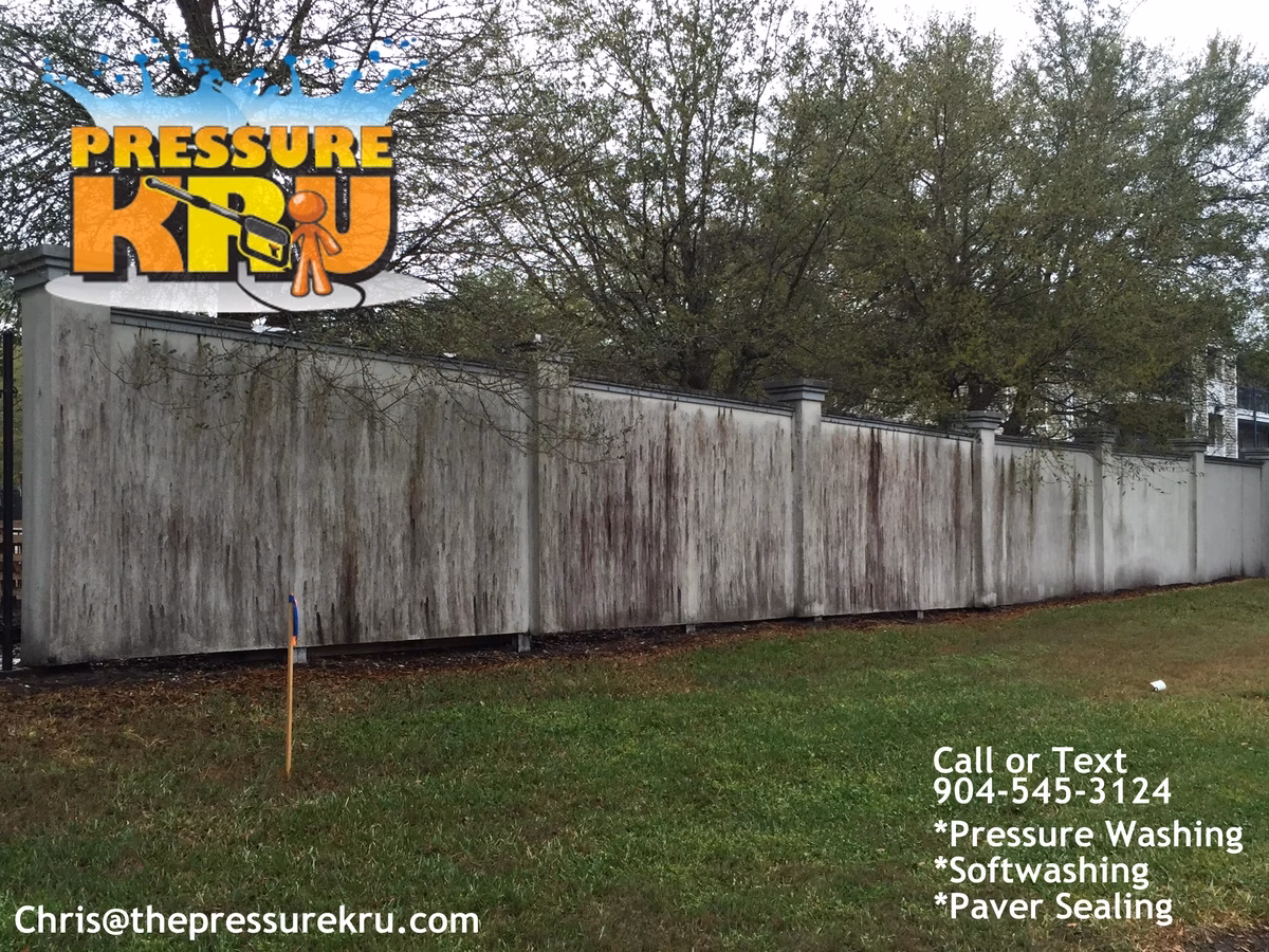 Professional fence cleaning in Mandarin before low-pressure softwashing