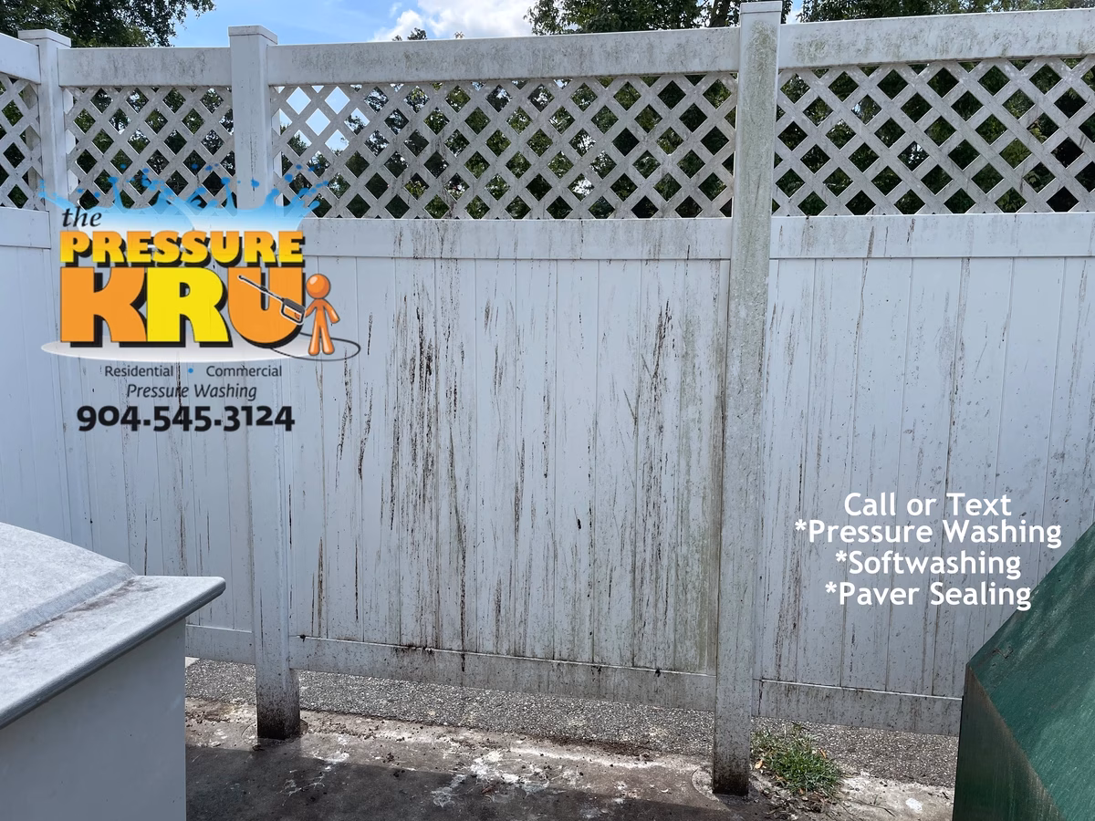 Vinyl fence cleaning Fleming Island before mold and algae removal. This is also feces from vultures near a dumpster enclosure