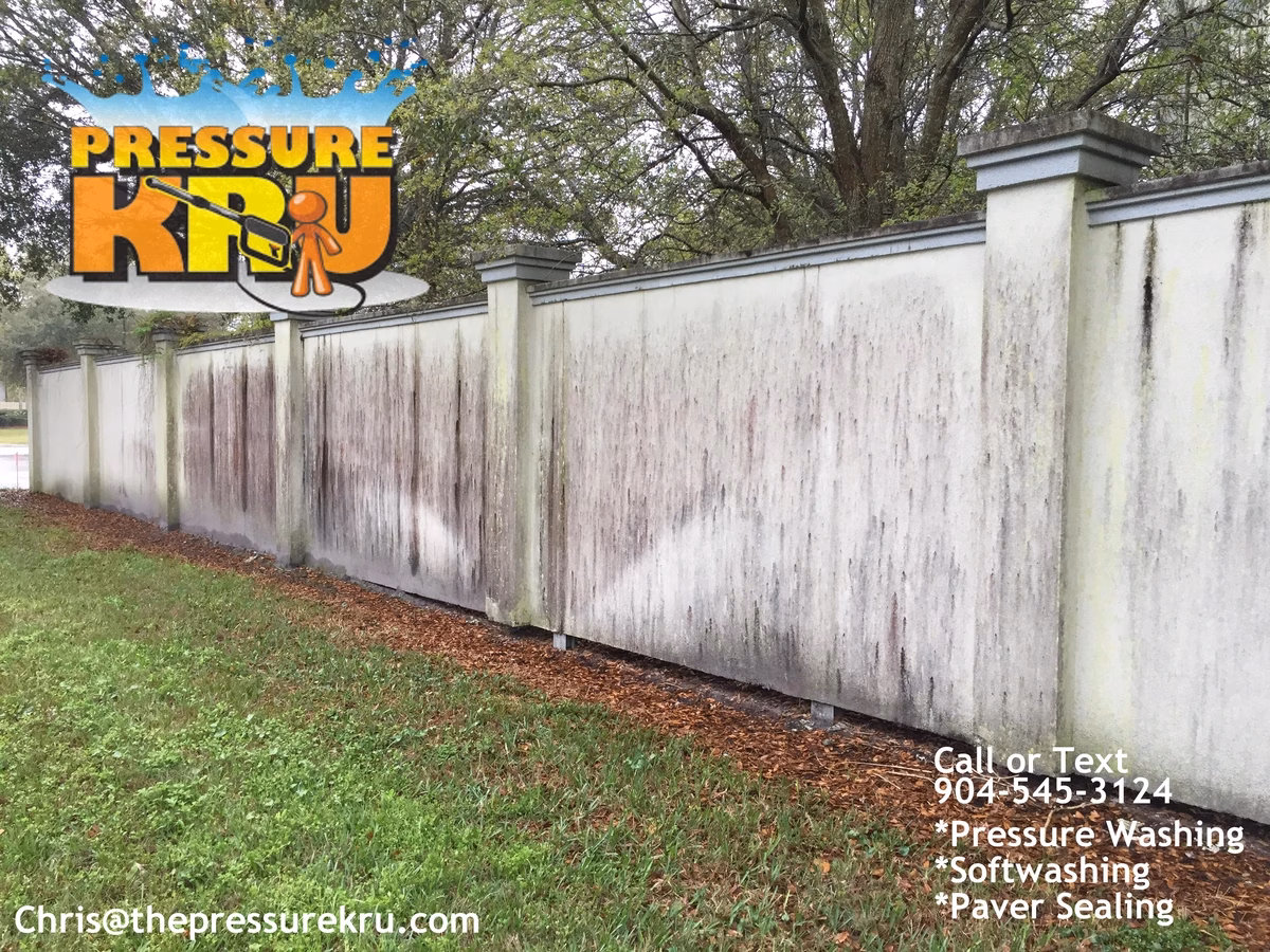 Stucco Fence Cleaning in Mandarin Jacksonville before removing black mold